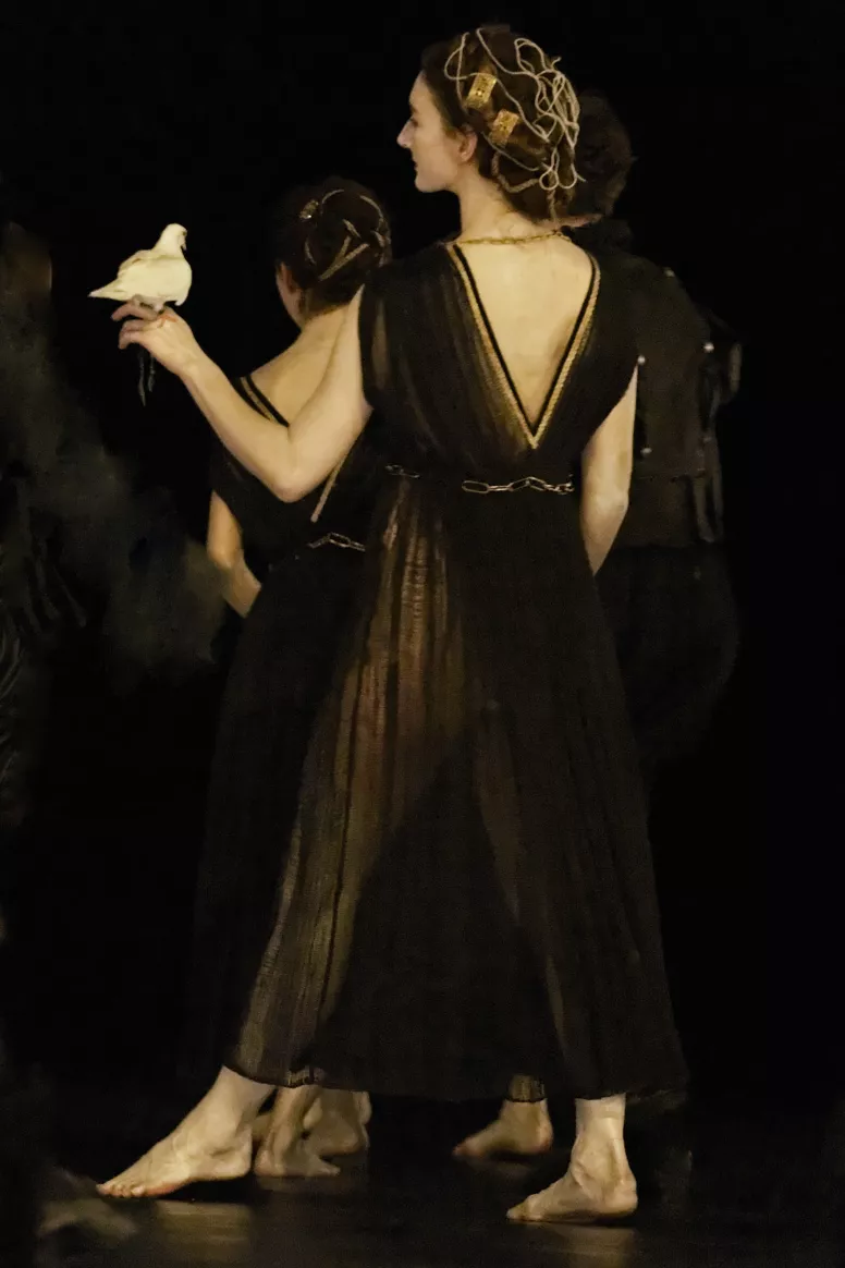 Venus And Adonis Opéra Comique